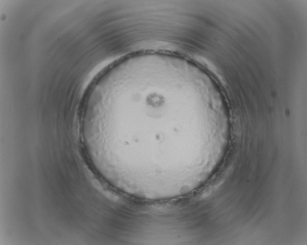 X0000076321125200610271957