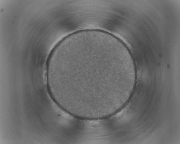 X0000076321126200610271957