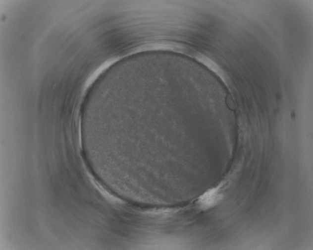 X0000076321127200610271957