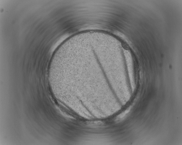 X0000076321129200610271957