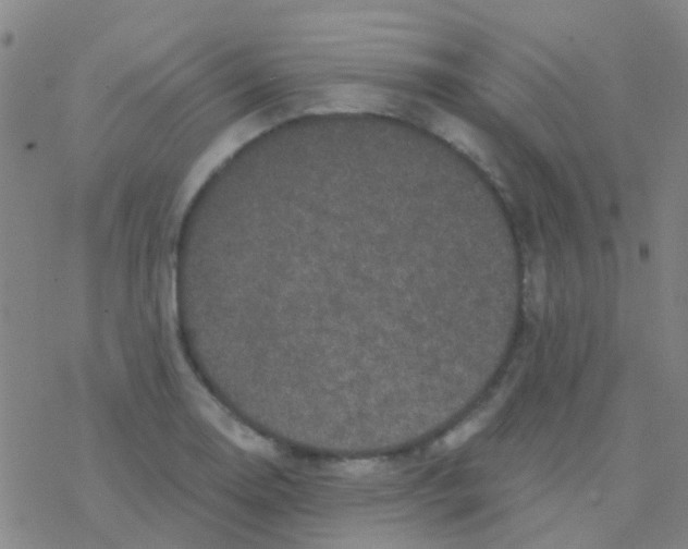 X0000076321130200610271957