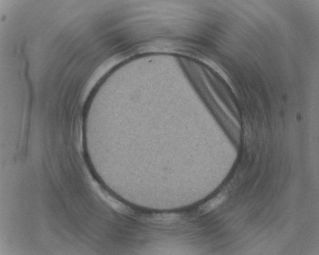 X0000076321131200610271957