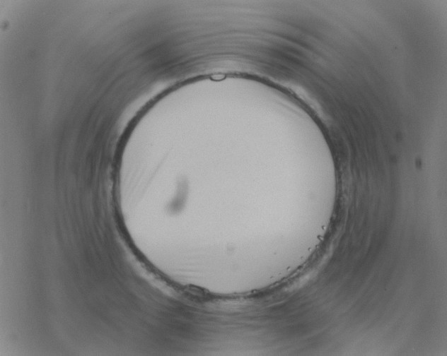 X0000076321134200610271957