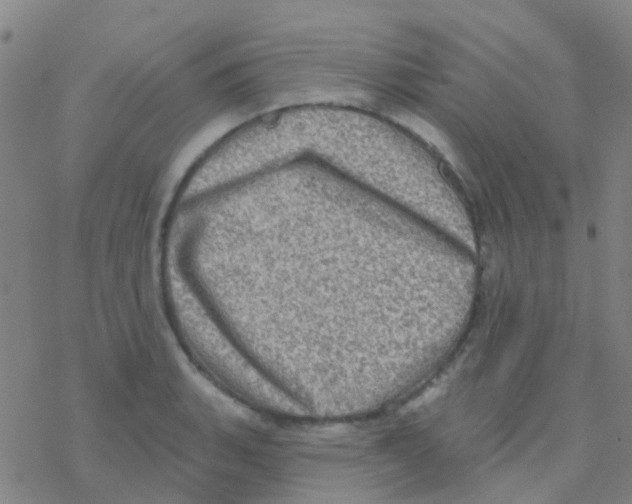 X0000076321135200610271957