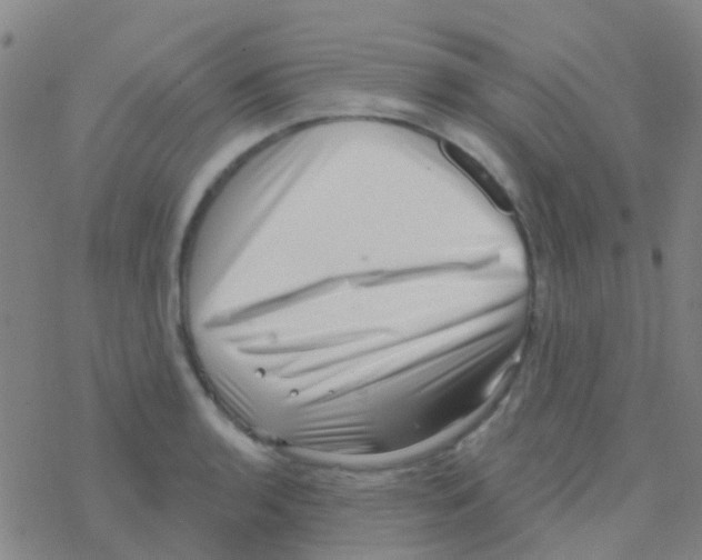 X0000076321136200610271957