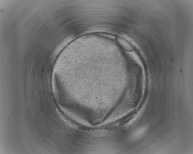 X0000076321137200610271957