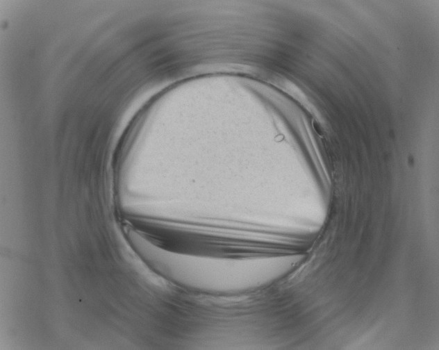 X0000076321140200610271957