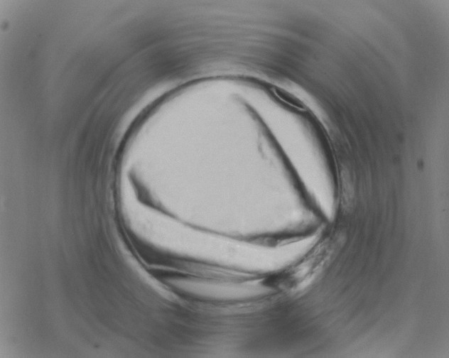 X0000076321142200610271958