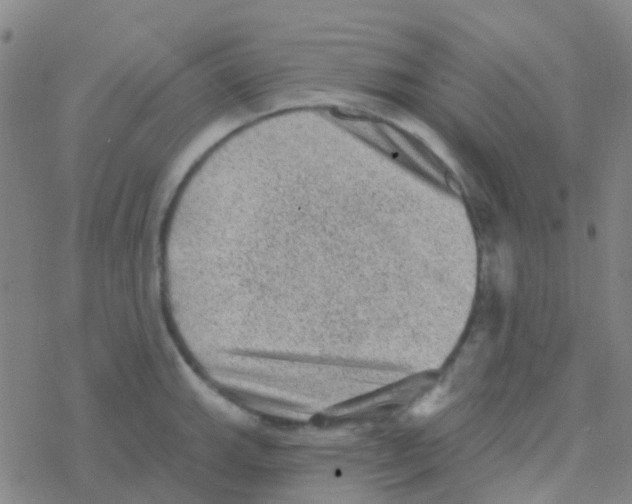 X0000076321143200610271958