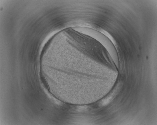 X0000076321144200610271958