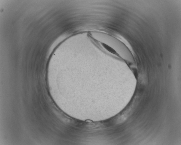 X0000076321146200610271958