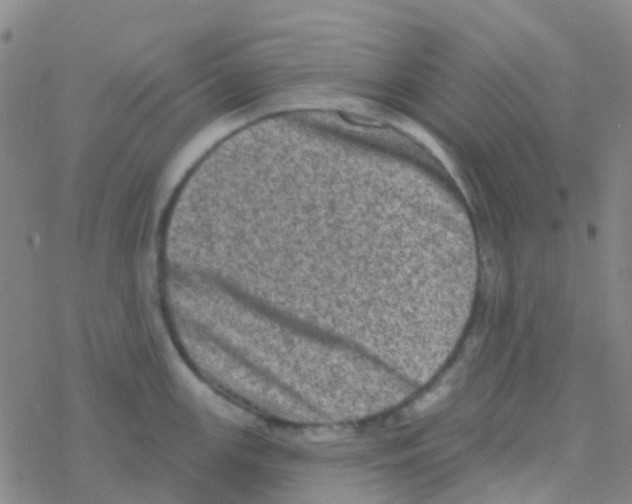 X0000076321147200610271958