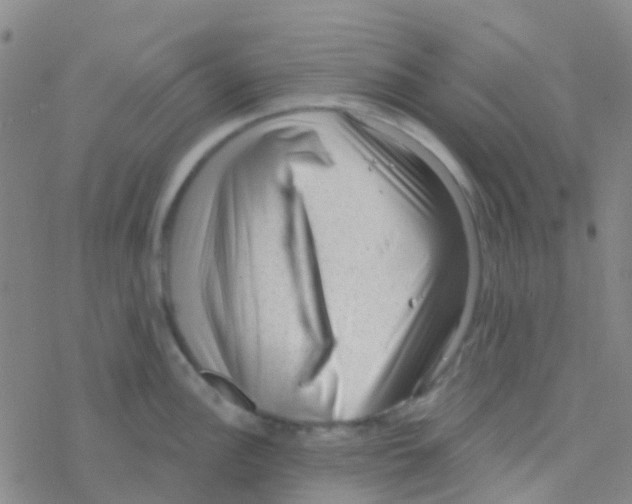 X0000076321148200610271958