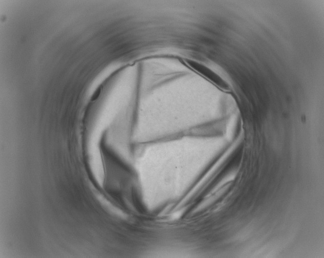 X0000076321151200610271958