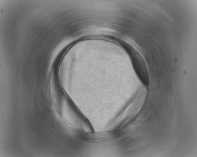 X0000076321152200610271958