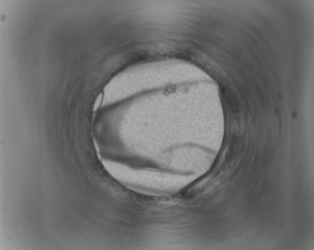 X0000076321153200610271957