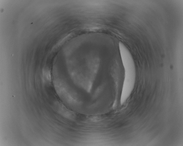 X0000076321155200610271957