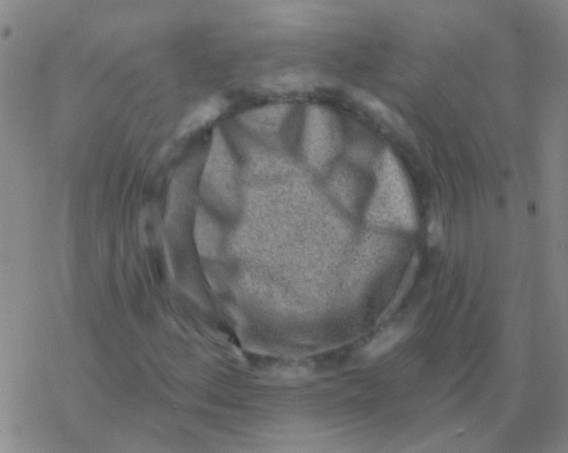 X0000076321156200610271957