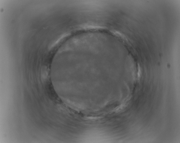 X0000076321157200610271957