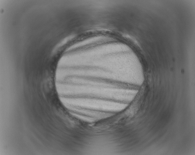 X0000076321159200610271957