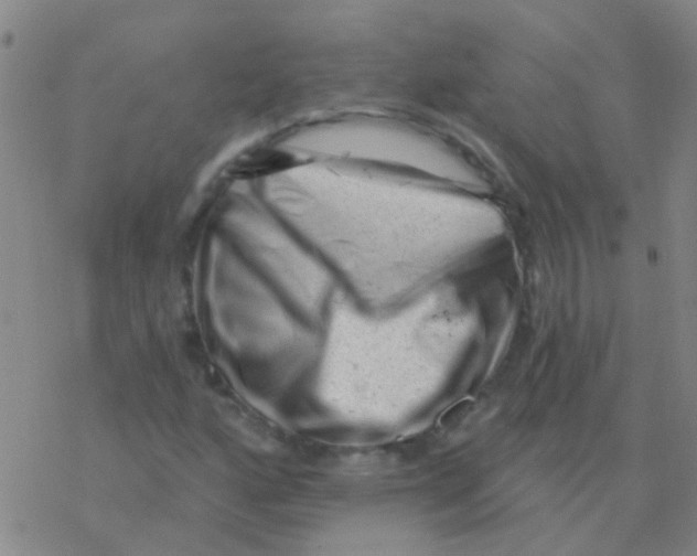 X0000076321160200610271957