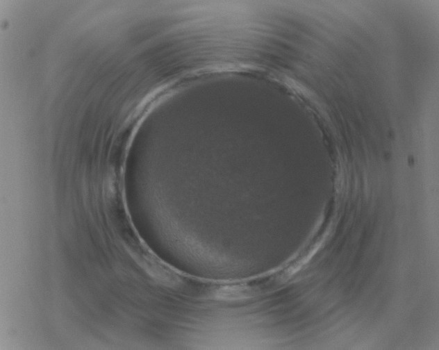 X0000076321161200610271957