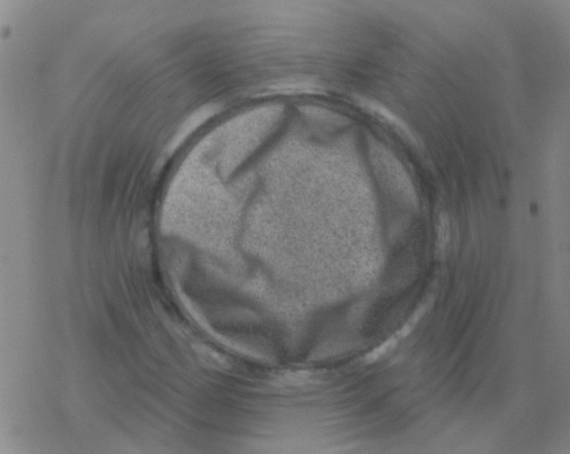 X0000076321162200610271957