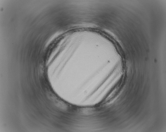 X0000076321163200610271957