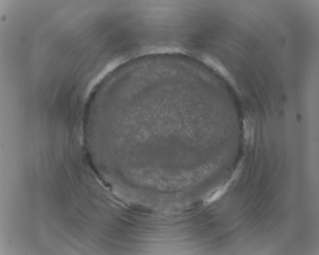 X0000076321165200610271957