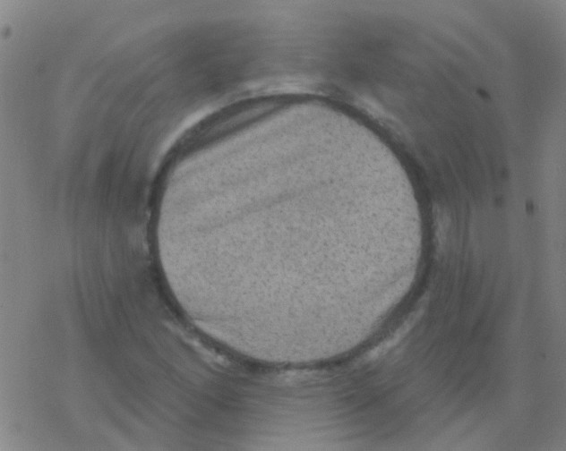 X0000076321166200610271957