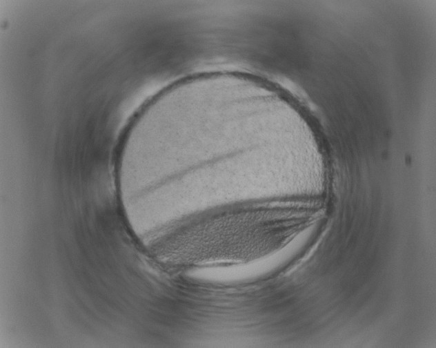 X0000076321167200610271957