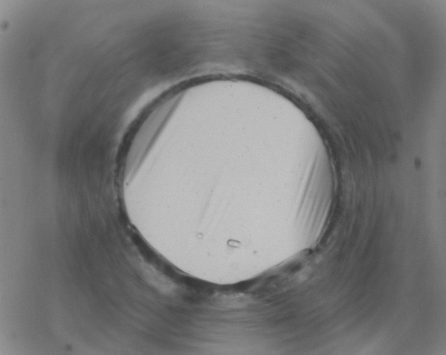 X0000076321168200610271957