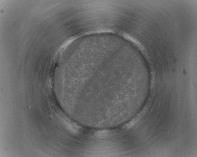 X0000076321169200610271957