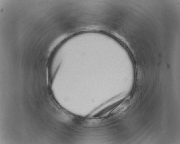 X0000076321171200610271957