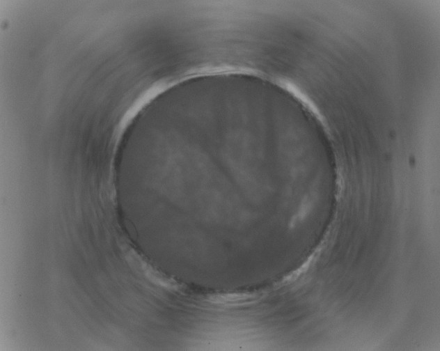 X0000076321173200610271957