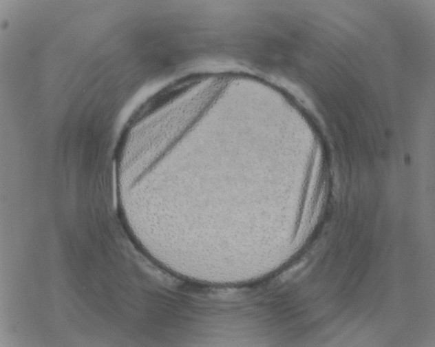 X0000076321175200610271957