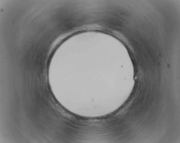 X0000076321176200610271957