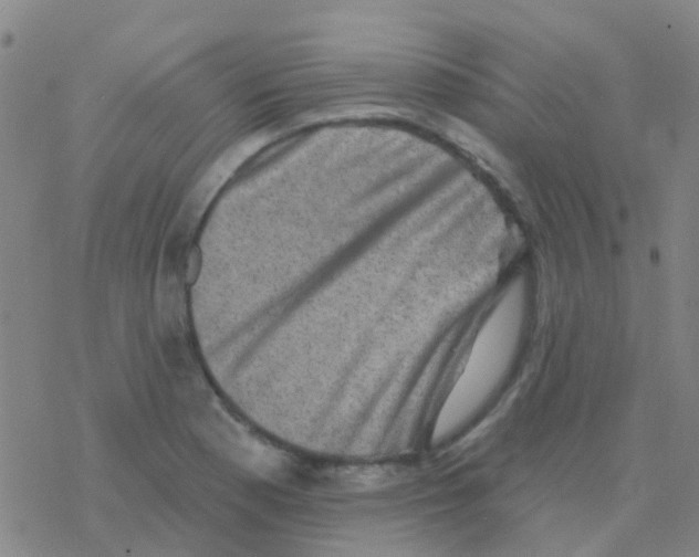 X0000076321177200610271957