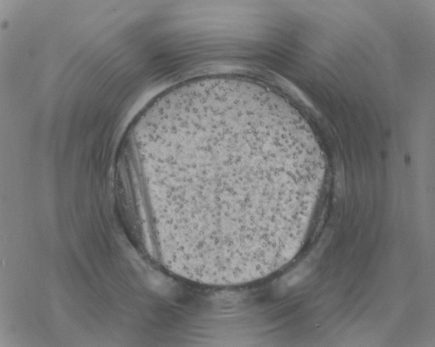 X0000076321178200610271956