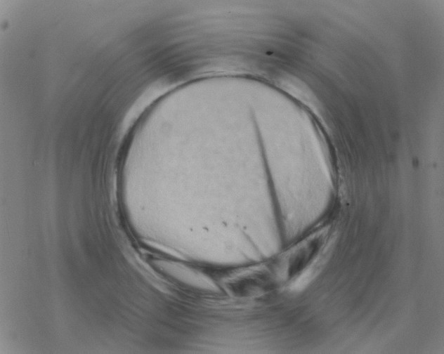 X0000076321179200610271956