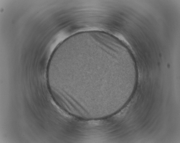 X0000076321181200610271956