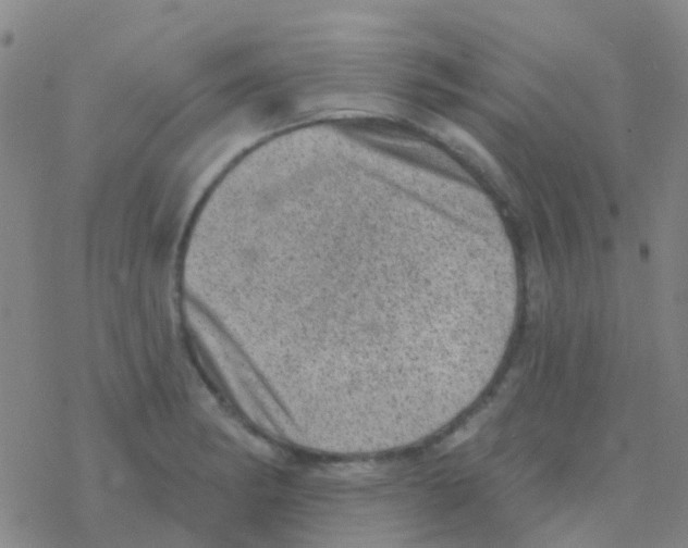 X0000076321182200610271956