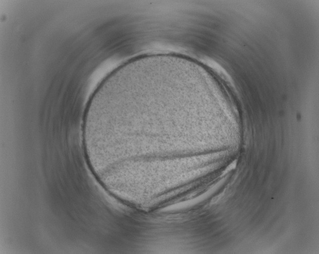 X0000076321183200610271956