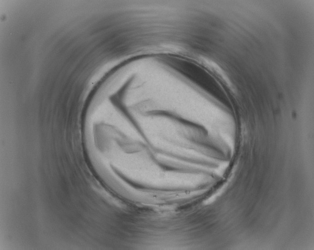 X0000076321184200610271956