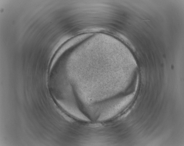 X0000076321186200610271956