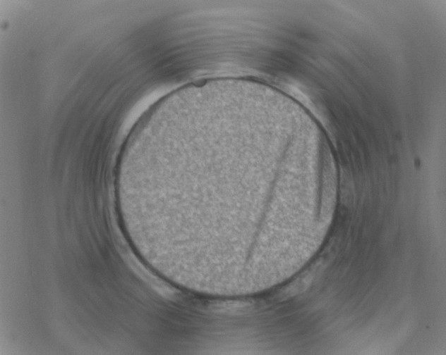 X0000076321187200610271956