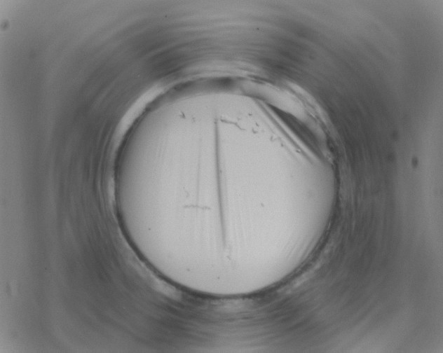 X0000076321188200610271956