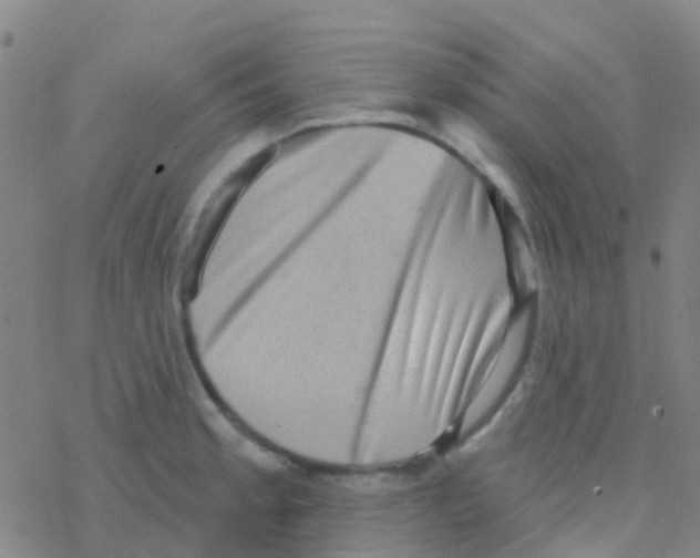 X0000076321189200610271956