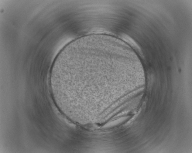 X0000076321190200610271956