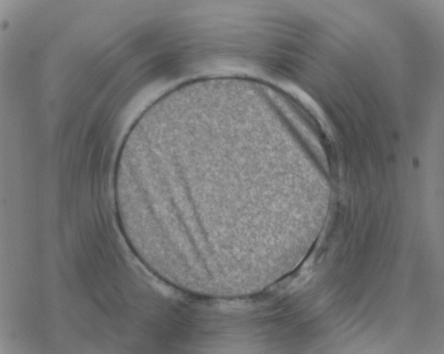 X0000076321191200610271956